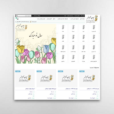 نمونه کار طراحی سایت 14