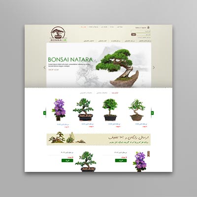 نمونه کار طراحی سایت 6